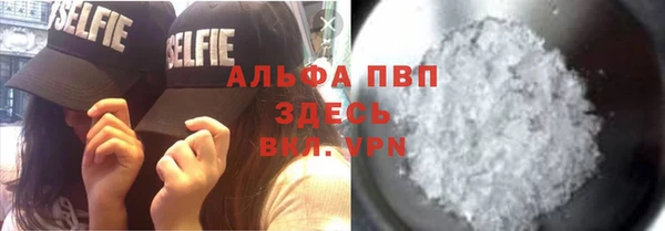 сатива Новодвинск