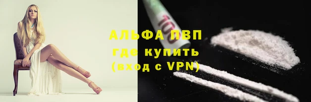 дурь Нефтекумск
