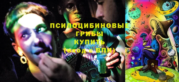 дурь Нефтекумск
