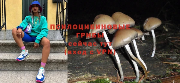 сатива Новодвинск