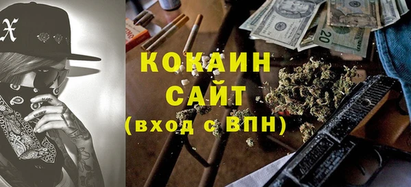 сатива Новодвинск