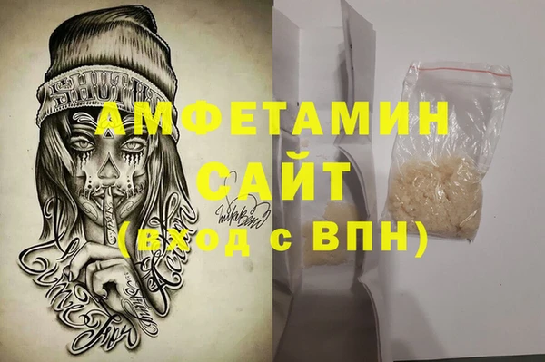 сатива Новодвинск