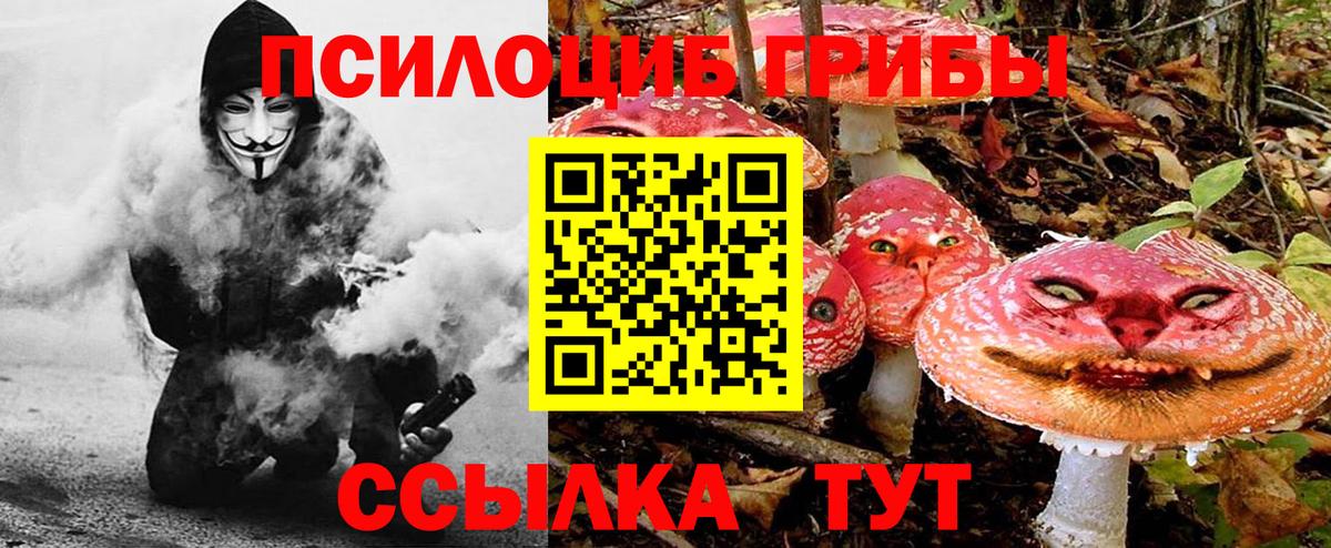 Псилоцибиновые грибы Psilocybine cubensis  Псилоцибиновые грибы Psilocybe  Североуральск 