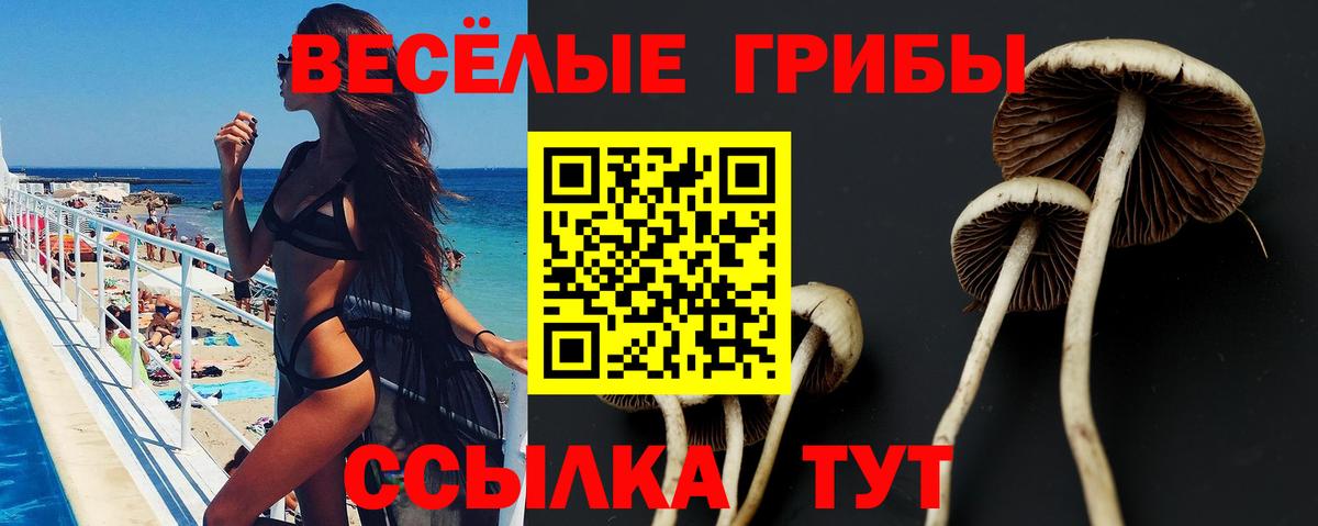 Североуральск  Галлюциногенные грибы GOLDEN TEACHER  Вход с VPN 